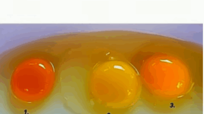Screenshot_23